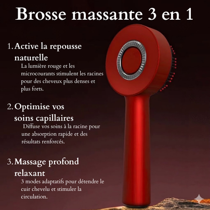 Brosse cheveux massante 3 en 1
